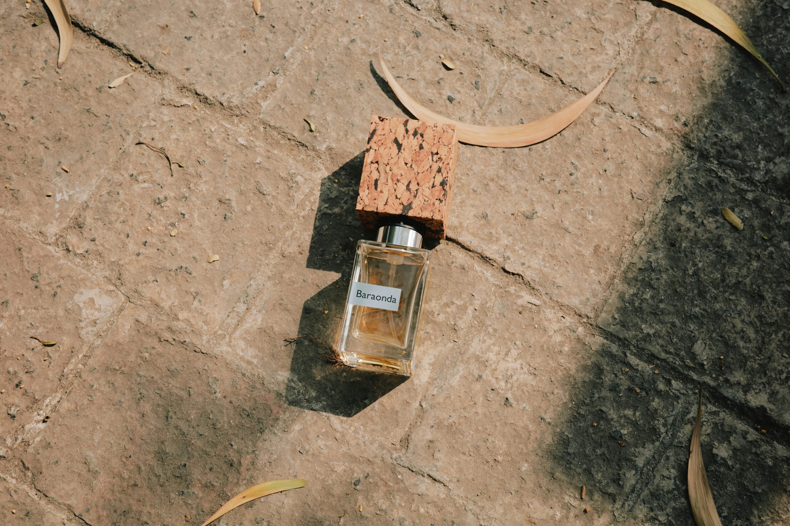 tuaans xss6wfjftcw unsplash